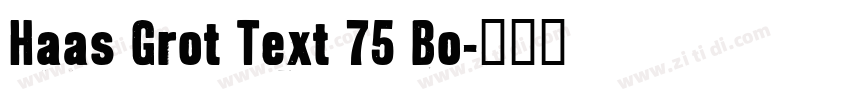 Haas Grot Text 75 Bo字体转换